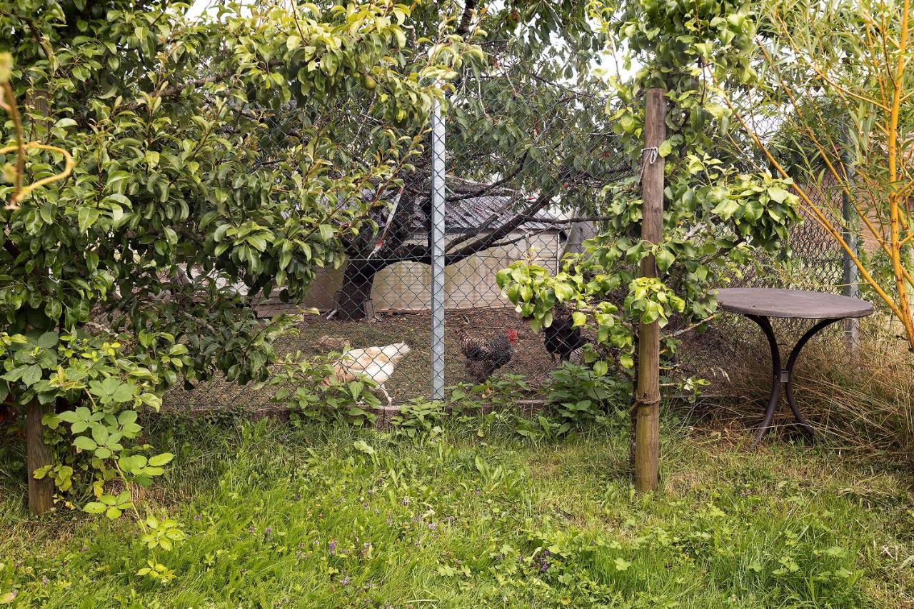 Apartament Zum Haselbach Weilheim Zewnętrze zdjęcie